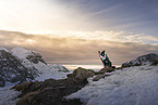 Border Collie Rde