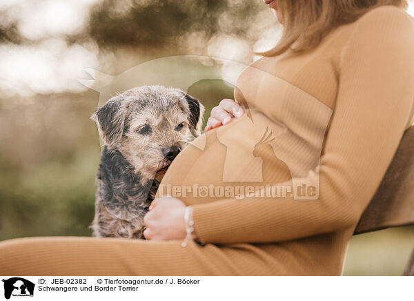 Schwangere und Border Terrier / pregnant woman and Border Terrier / JEB-02382