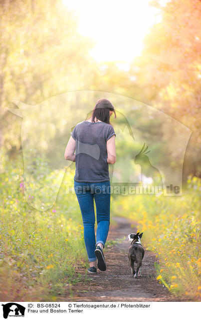 Frau und Boston Terrier / BS-08524