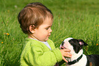 Kind und Boston Terrier Welpe