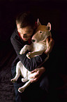 Mann mit Bullterrier