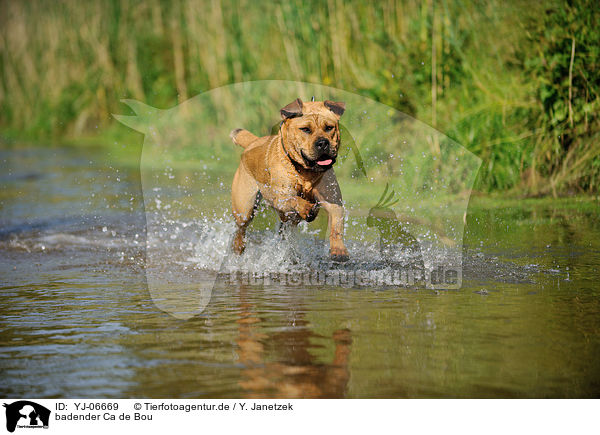 badender Ca de Bou / bathing Ca de Bou / YJ-06669