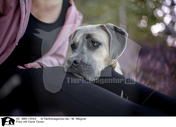 Frau mit Cane Corso / woman with Cane Corso / MW-13542