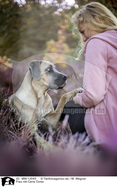 Frau mit Cane Corso / MW-13545