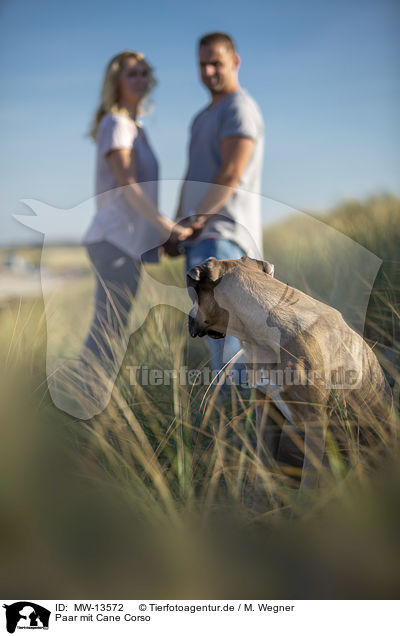 Paar mit Cane Corso / pair with Cane Corso / MW-13572