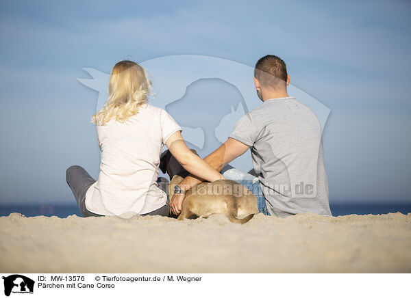 P�rchen mit Cane Corso / MW-13576
