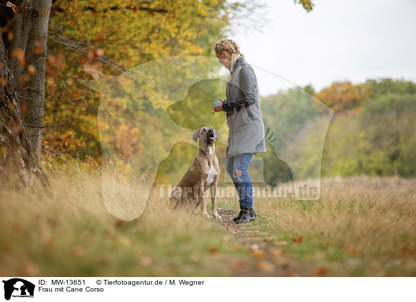 Frau mit Cane Corso / MW-13651
