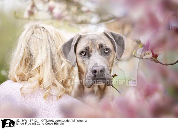 junge Frau mit Cane Corso Hndin / young woman with Cane Corso / MW-13712