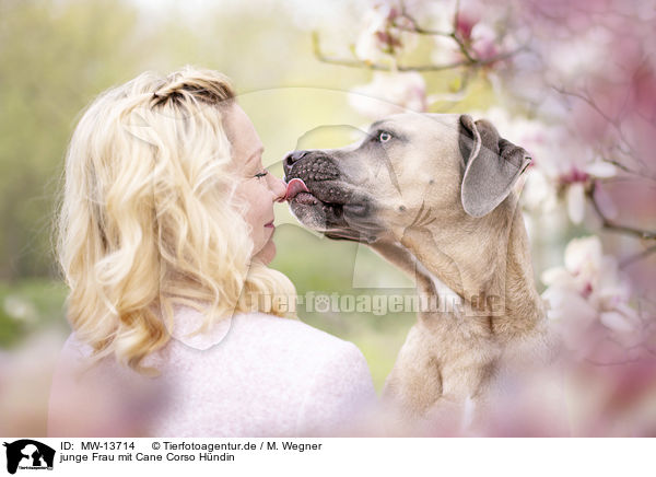 junge Frau mit Cane Corso Hndin / young woman with Cane Corso / MW-13714