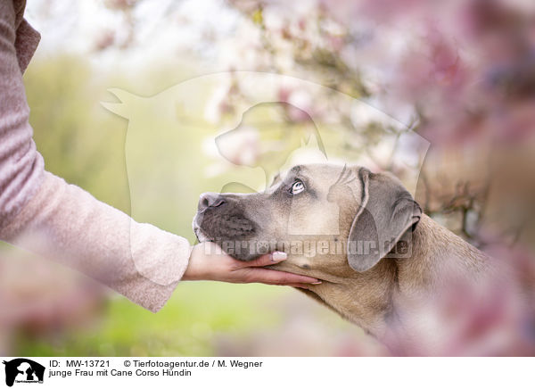 junge Frau mit Cane Corso Hndin / young woman with Cane Corso / MW-13721