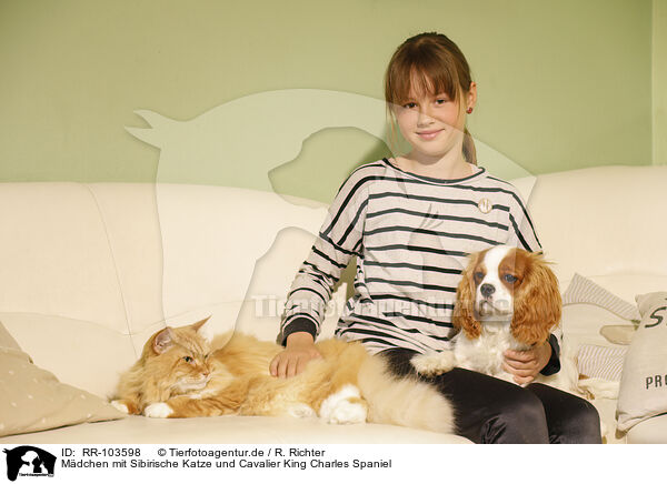 Mdchen mit Sibirische Katze und Cavalier King Charles Spaniel / RR-103598