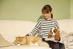 Mdchen mit Sibirische Katze und Cavalier King Charles Spaniel