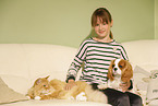 Mdchen mit Sibirische Katze und Cavalier King Charles Spaniel