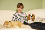 Mdchen mit Sibirische Katze und Cavalier King Charles Spaniel