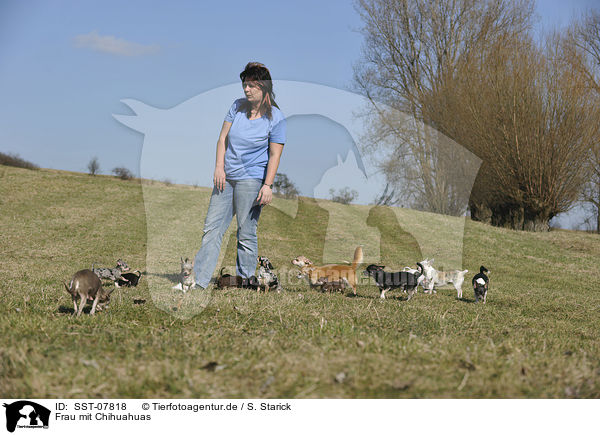 Frau mit Chihuahuas / woman with Chihuahuas / SST-07818