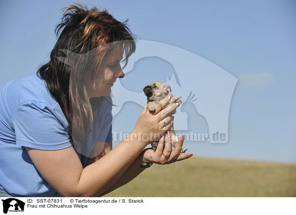 Frau mit Chihuahua Welpe / woman with Chihuahua Puppy / SST-07831