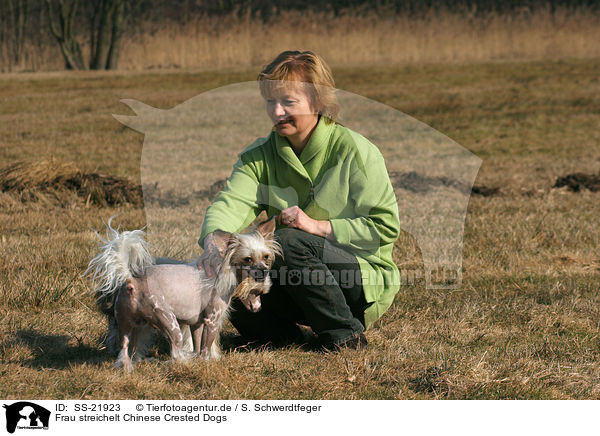 Frau streichelt Chinese Crested Dogs / woman fondles Chinese Crested Dogs / SS-21923