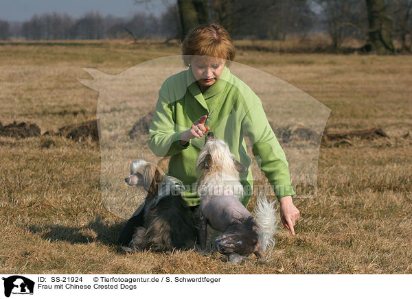 Frau mit Chinese Crested Dogs / woman with Chinese Crested Dogs / SS-21924
