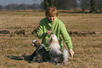 Frau mit Chinese Crested Dogs