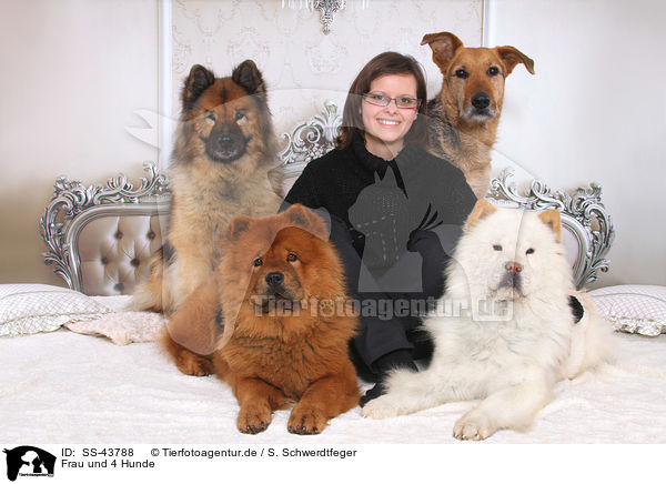 Frau und 4 Hunde / SS-43788