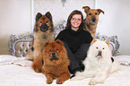 Frau und 4 Hunde