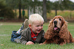 Junge und Cocker Spaniel