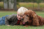 Junge und Cocker Spaniel