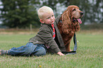 Junge und Cocker Spaniel