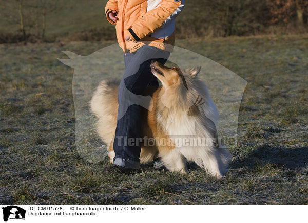 Dogdance mit Langhaarcollie / CM-01528