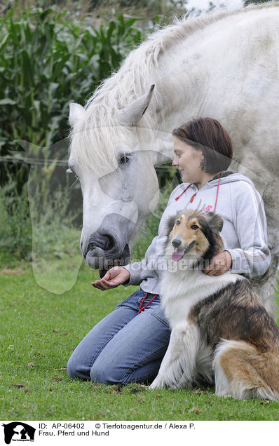 Frau, Pferd und Hund / woman, horse and dog / AP-06402