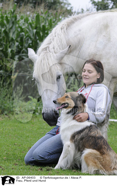 Frau, Pferd und Hund / AP-06403