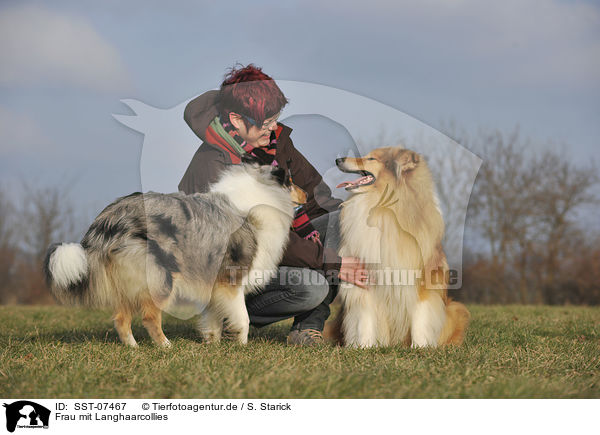 Frau mit Langhaarcollies / SST-07467