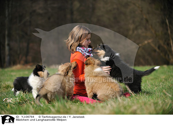 Mdchern und Langhaarcollie Welpen / girl and longhaired Collie puppies / YJ-06764