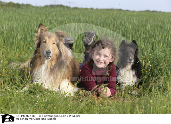 Mdchen mit Collie und Sheltie / PM-07516