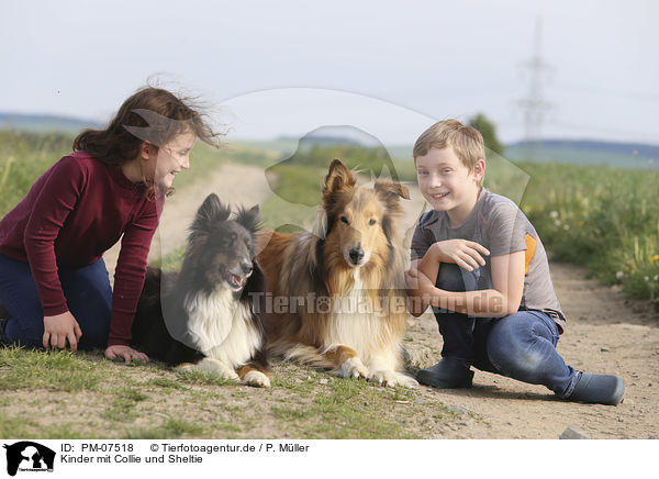 Kinder mit Collie und Sheltie / childrens with Collie and Sheltie / PM-07518