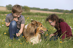 Kinder mit Collie