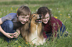 Kinder mit Collie