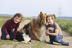 Kinder mit Collie und Sheltie