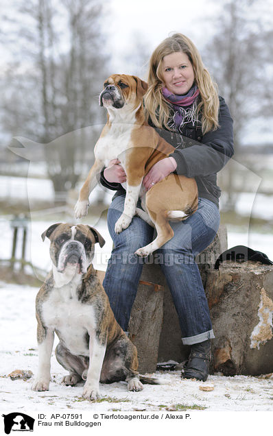 Frau mit Bulldoggen / woman with bulldogs / AP-07591