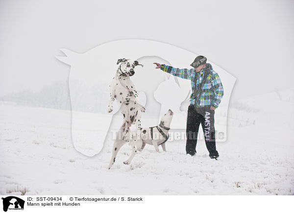 Mann spielt mit Hunden / man and dogs / SST-09434
