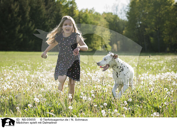 Mdchen spielt mit Dalmatiner / girl plays with Dalmatian / NS-05655