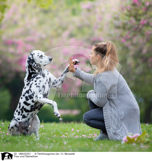Frau und Dalmatiner / woman and Dalmatian / UM-02201