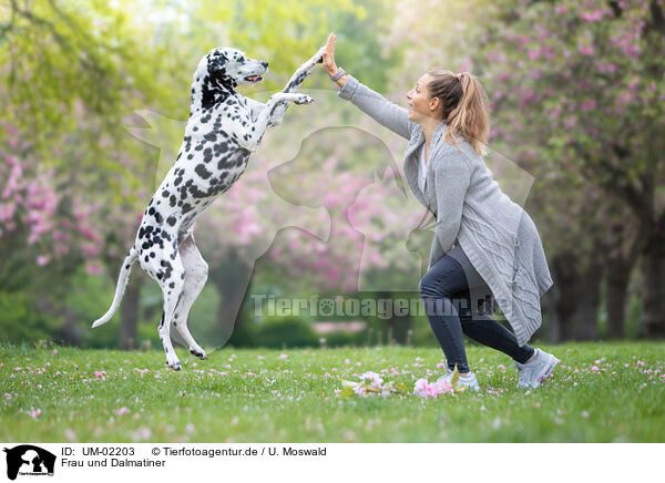Frau und Dalmatiner / woman and Dalmatian / UM-02203