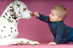 Dalmatiner und Baby