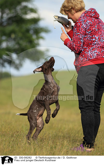 Frau und junger Deutsch Kurzhaar / woman and young German shorthaired Pointer / DG-08282