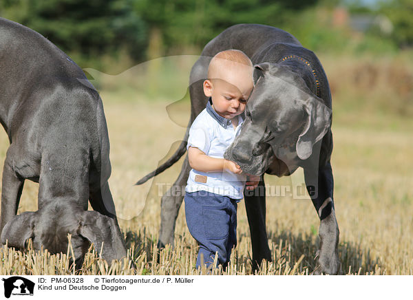 Kind und Deutsche Doggen / child and Great Danes / PM-06328