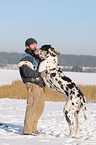 Mann mit Deutscher Dogge