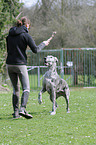 Frau mit Deutscher Dogge