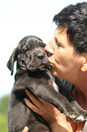 Frau und Deutsche Dogge Welpe