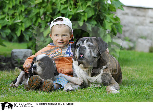Kind mit Hunden / child with dogs / SST-03762